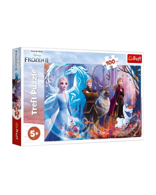 Frozen Puzzles (100 Pieces)