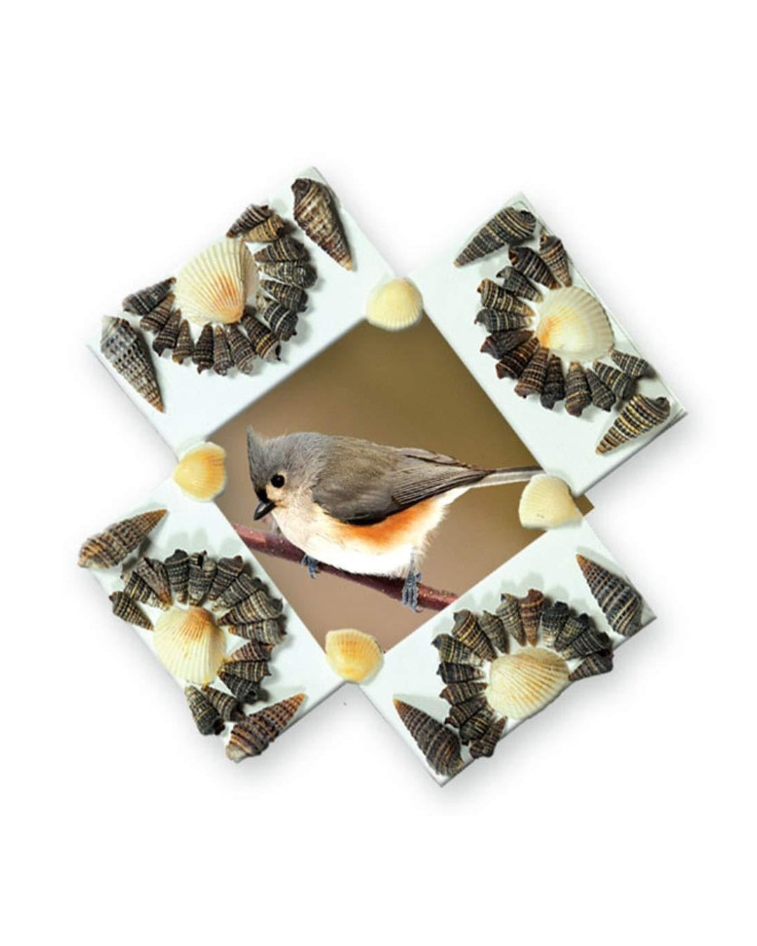 Shells Photo Frames