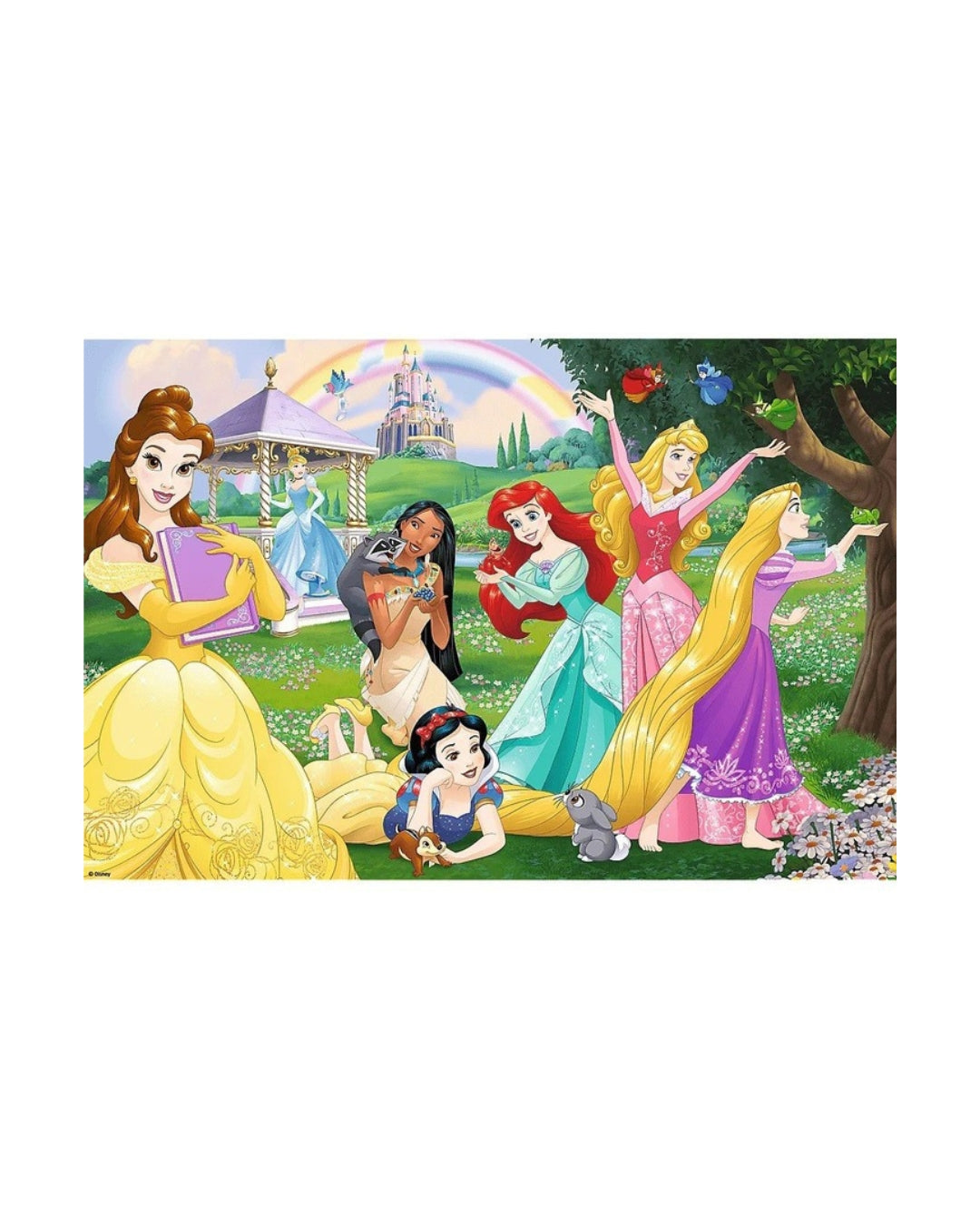 Disney Princess Coloring Puzzle