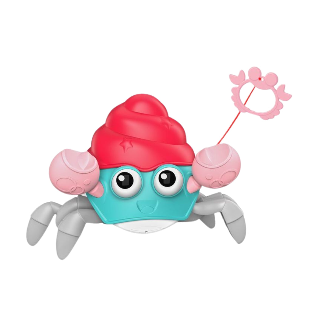 Hermit Crab – TOYS 4 LESS