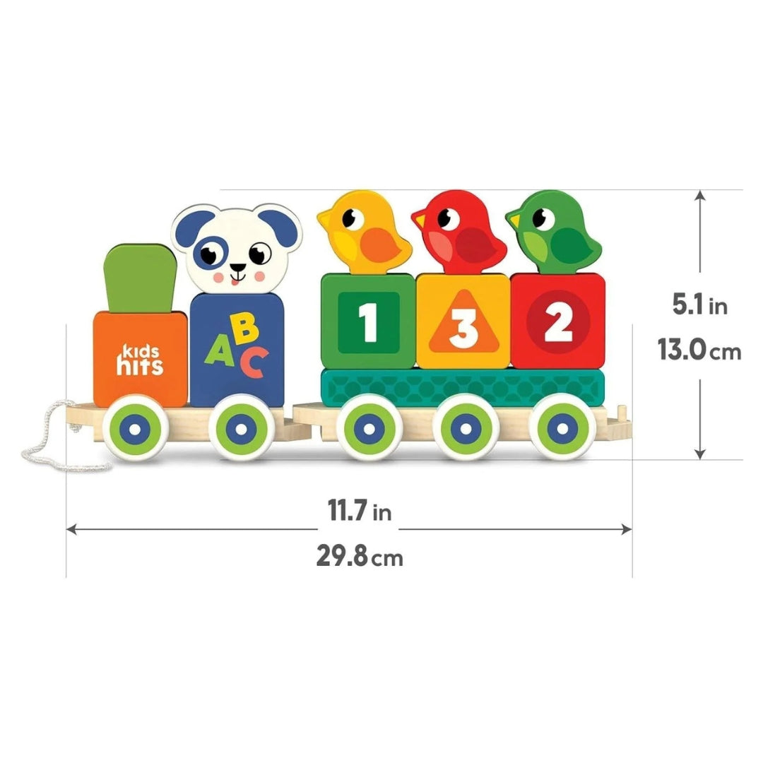 Kids Hits Wooden Stack & Go Train