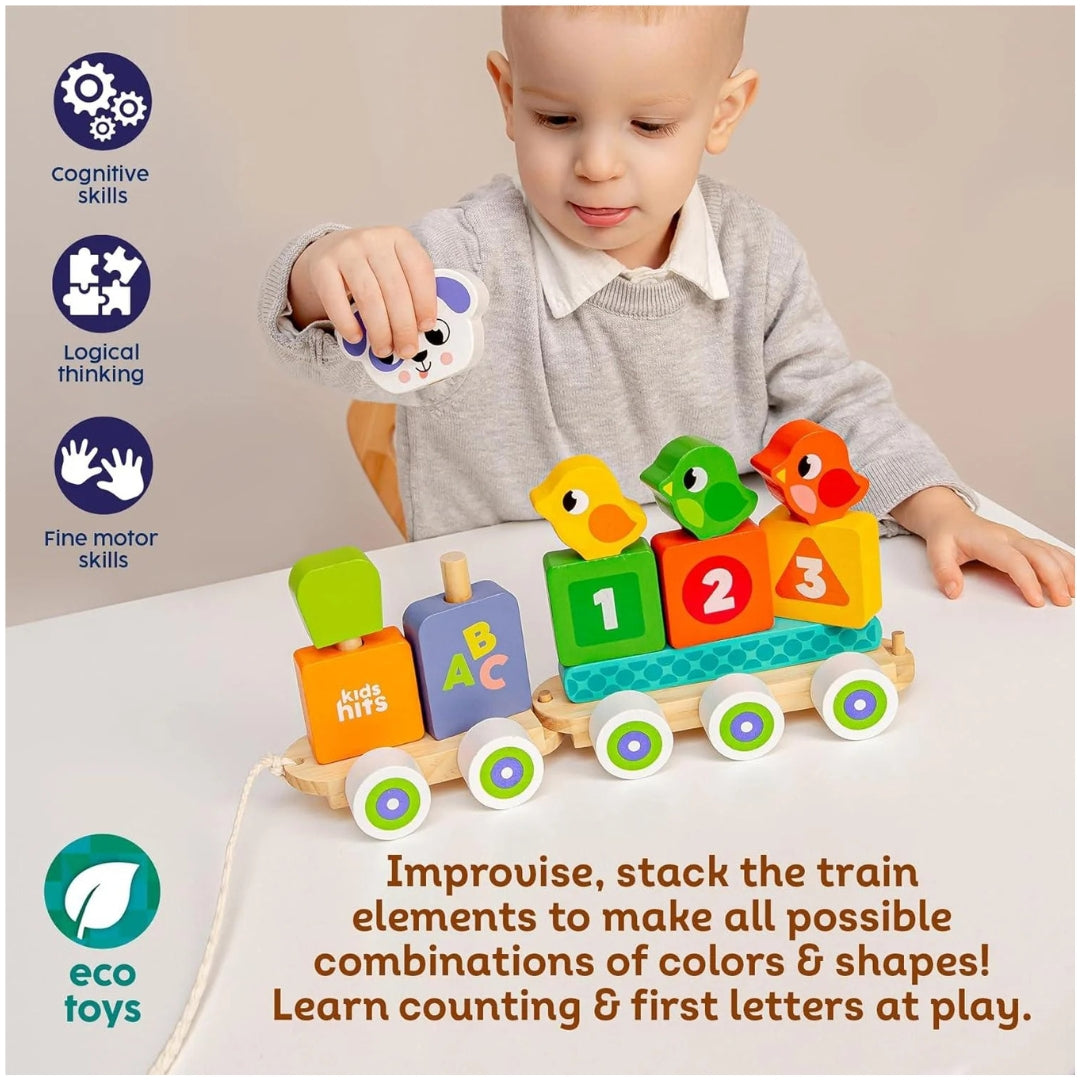 Kids Hits Wooden Stack & Go Train