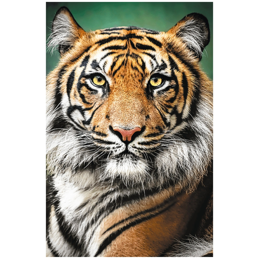 Trefl 1500-Piece Puzzle – Portrait of a Tiger