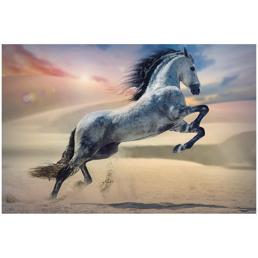 Trefl Majestic Horse Puzzle 1000 Pieces