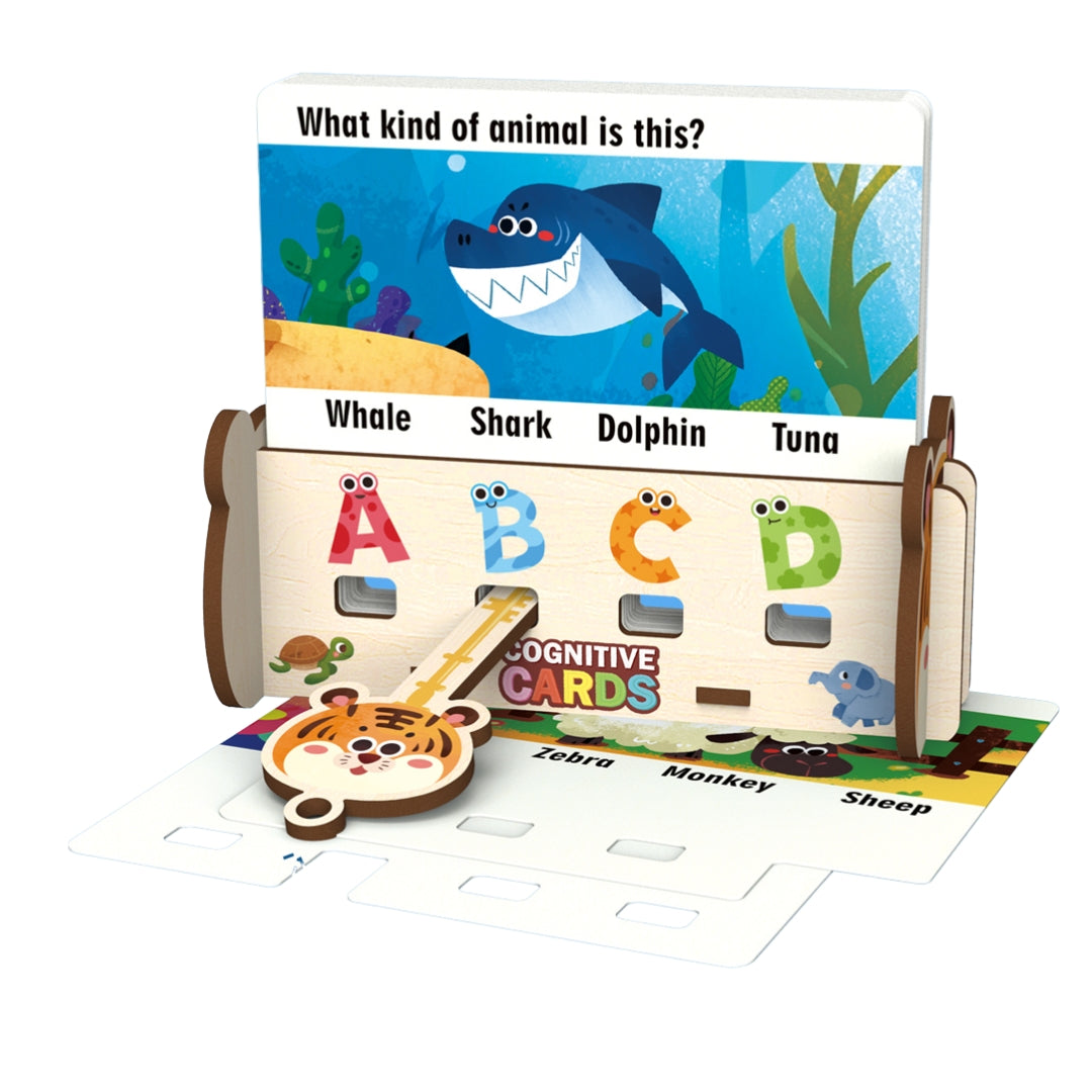 Learning Card Game Set