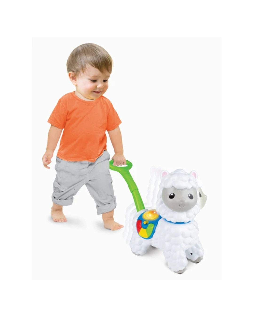 Push-Along Little Alpaca