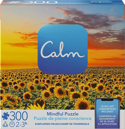 Calm Mindful Puzzle Assorted