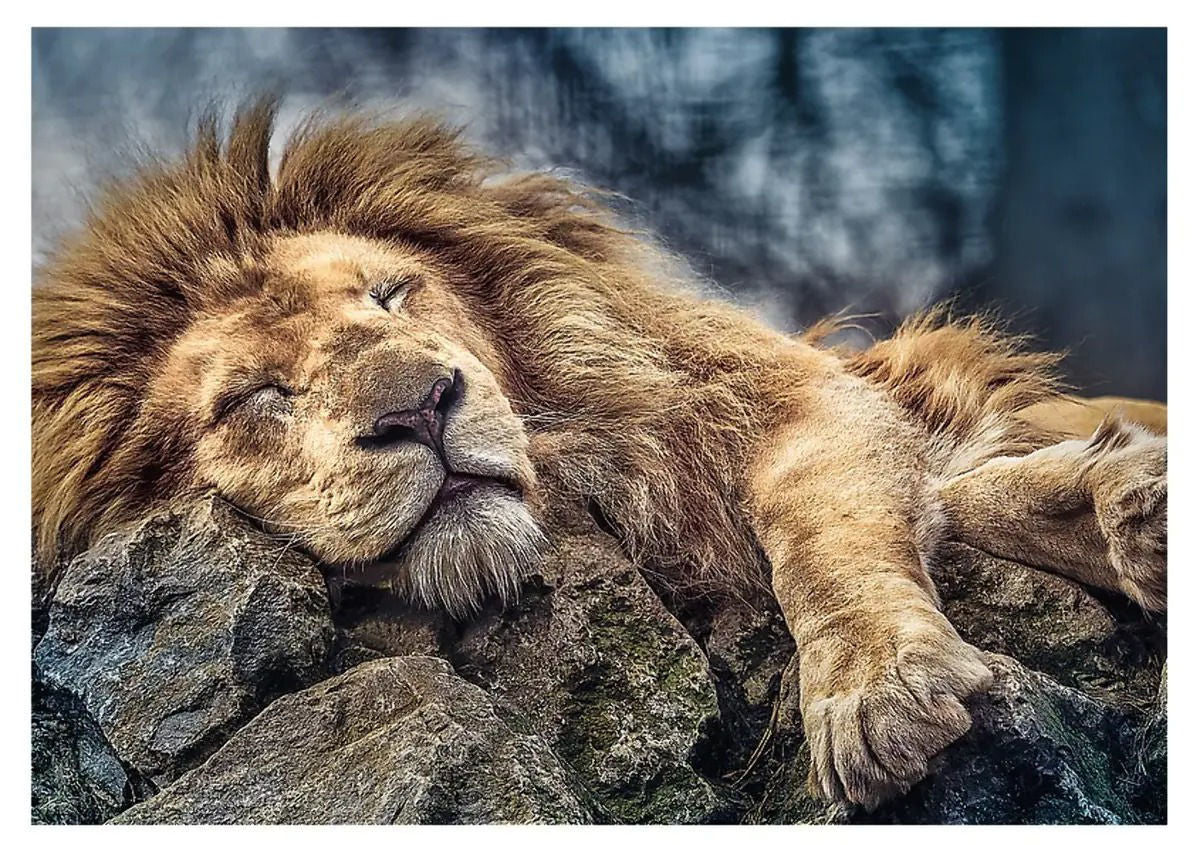 Sleeping Lion Puzzle (1000 Pieces)