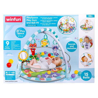 Winfun Play Space, Play Gym And Ball Pit