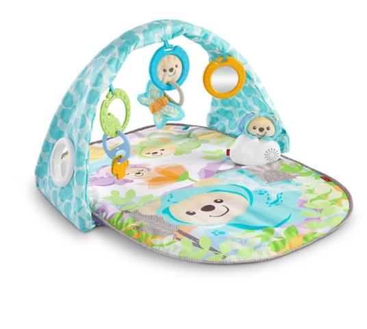 Fisher Price Butterfly Dreams Musical Playtime Gym