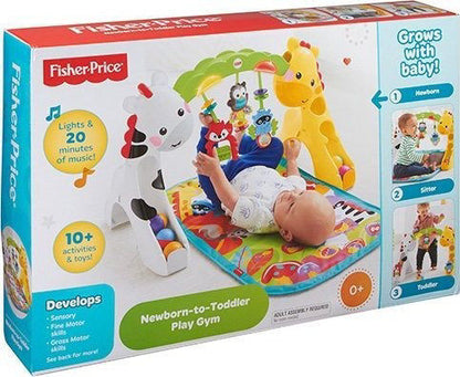 Fisher Price Newborn To Toddler Play Gym