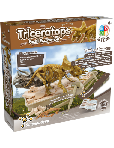 Triceratops Fossil Excavation