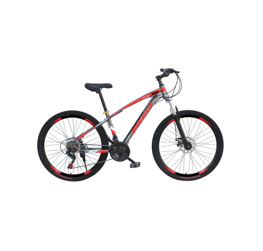 Philips Bicycle Grey (24 inch)