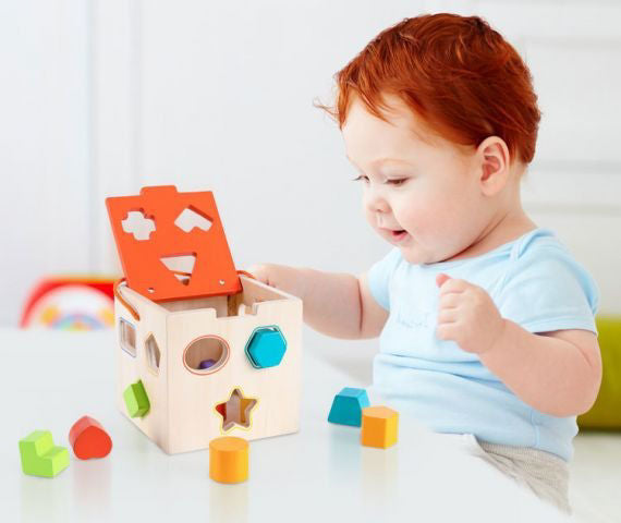 Wooden Shape Sorting Cube