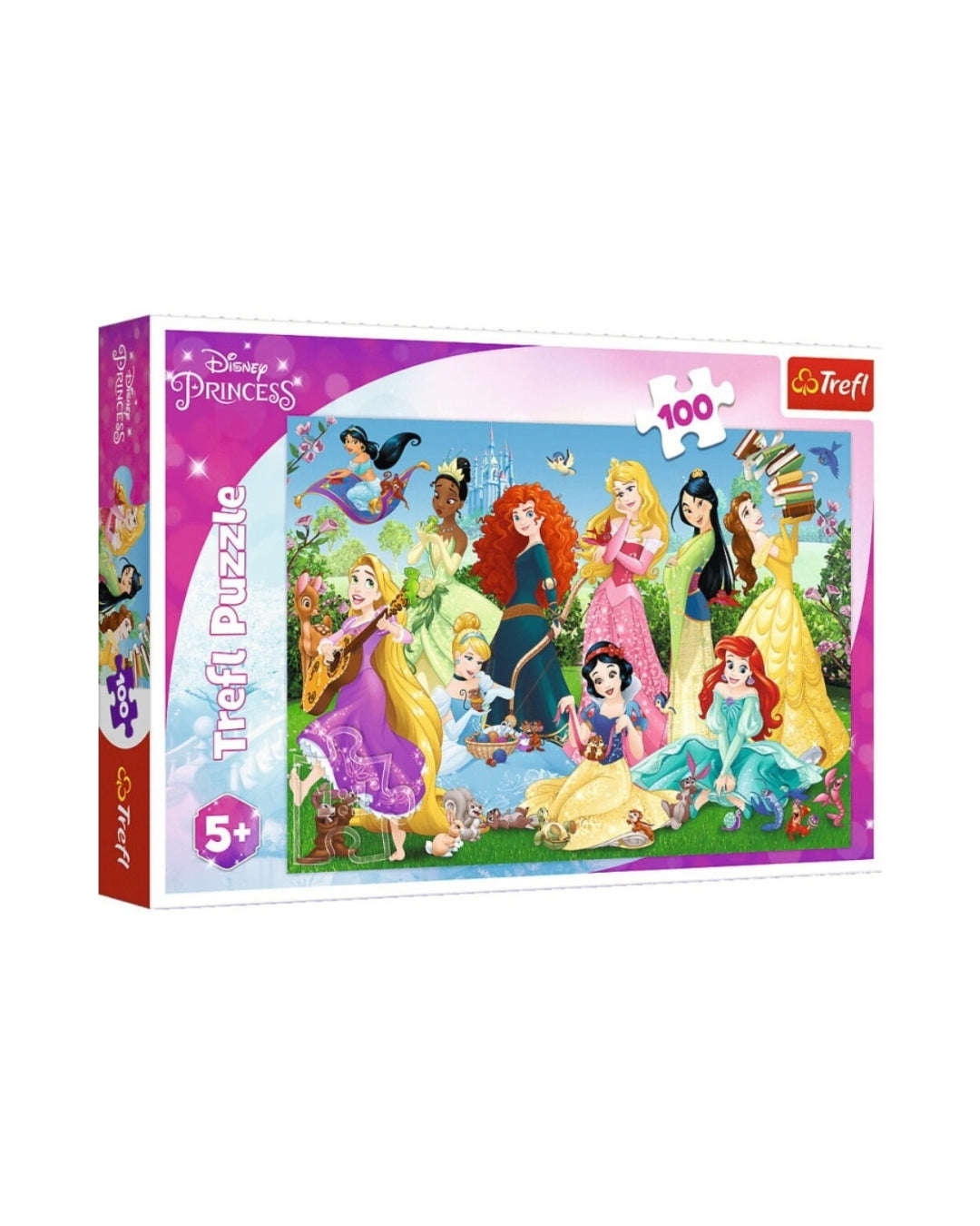 Disney Princesses (100 Pieces)