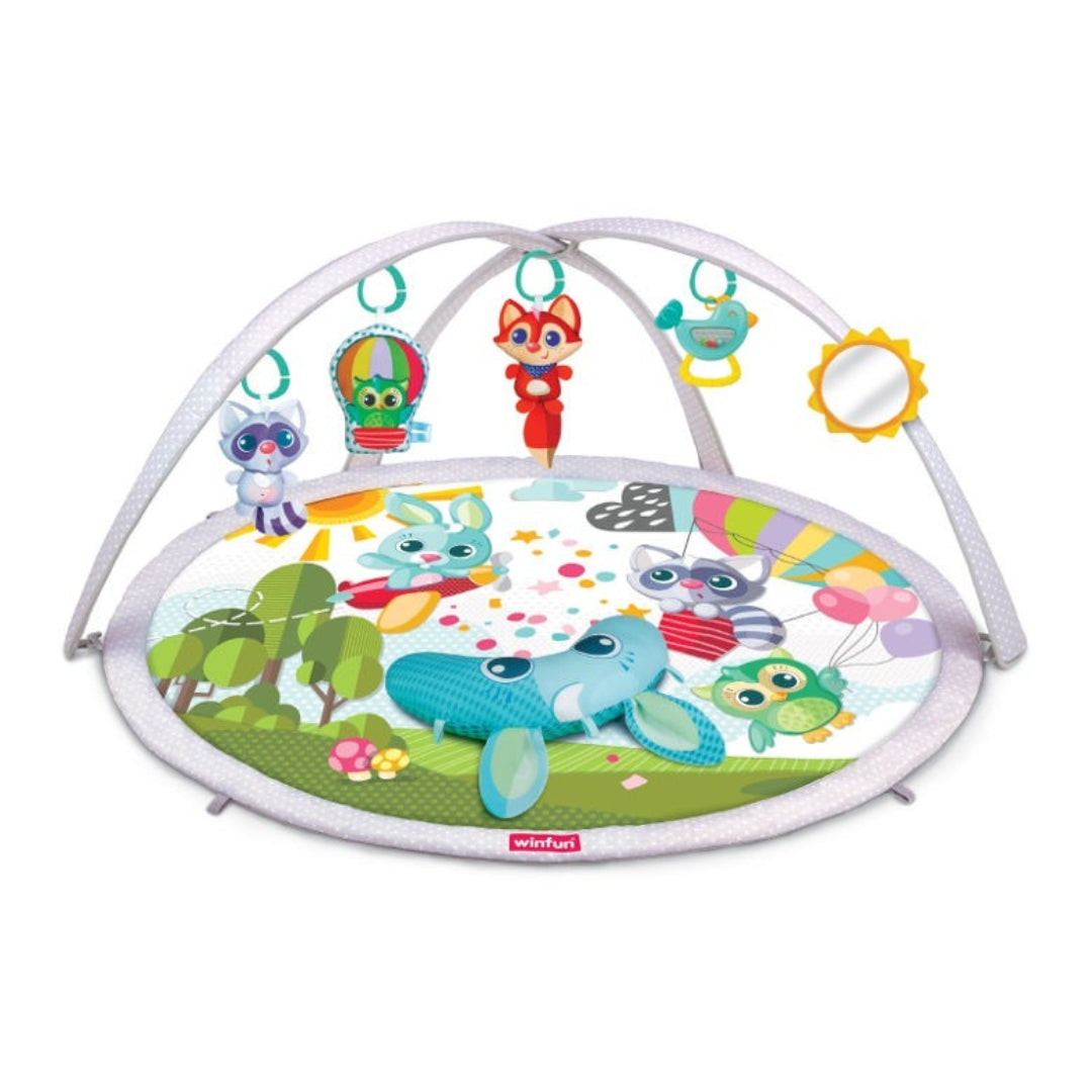 Winfun Baby Space Activity Gym