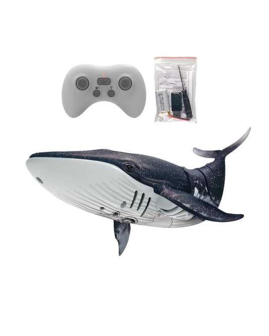 Rc Whale