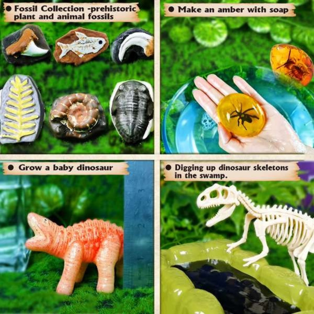 Exploring Prehistoric Life