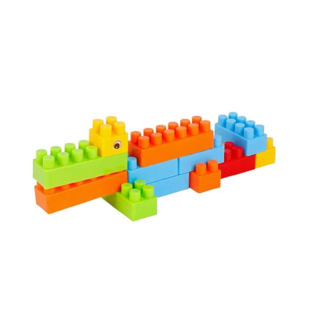 Blocks Play & Learn (320 Pieces)