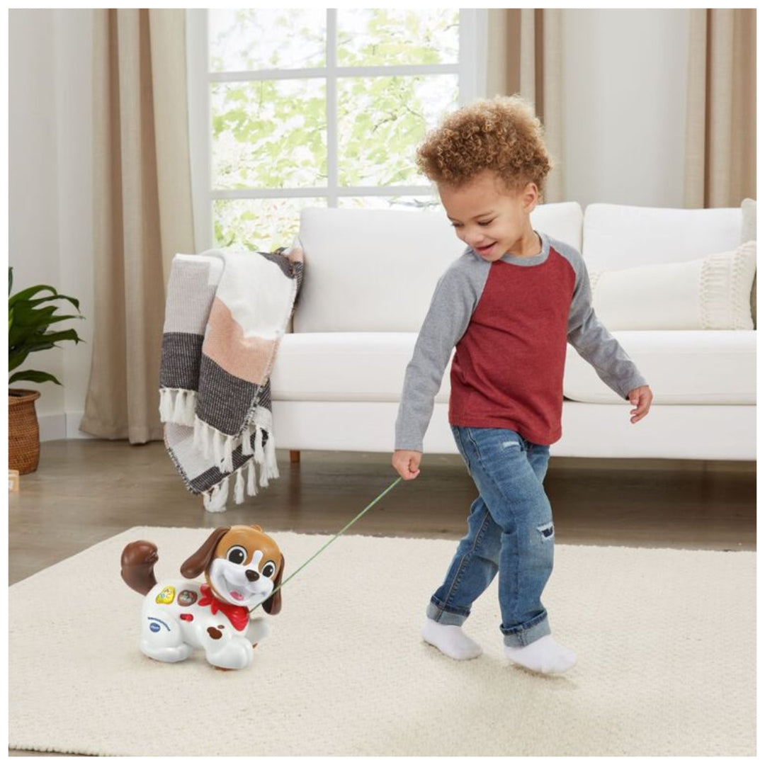 VTech Toutou 1,2,3 promène-moi