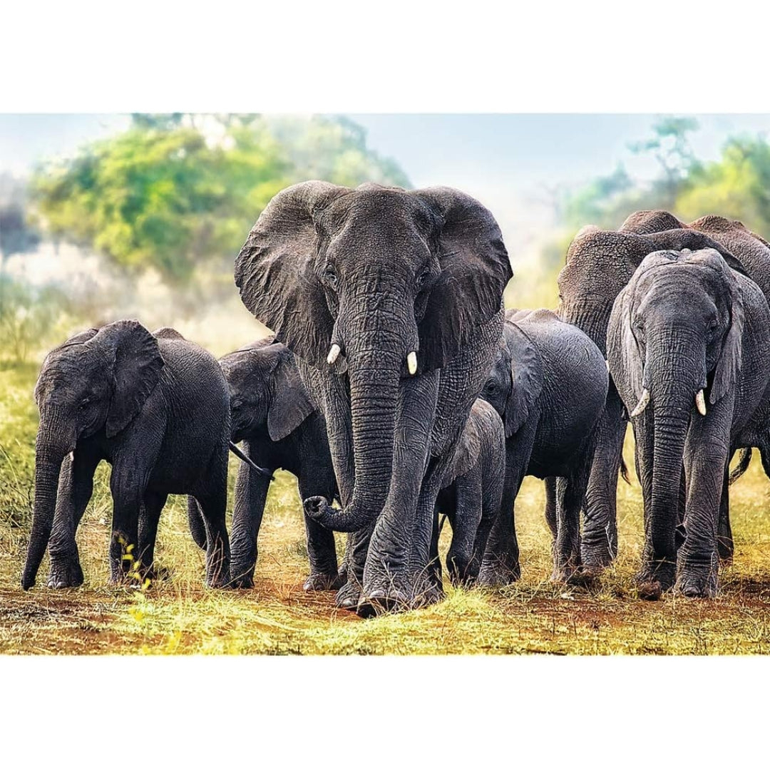 Trefl African Elephants – 1000-Piece Puzzle