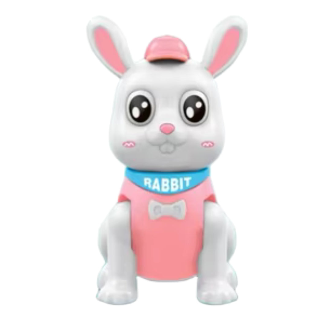 Lovely Jumping Rabbit Toy