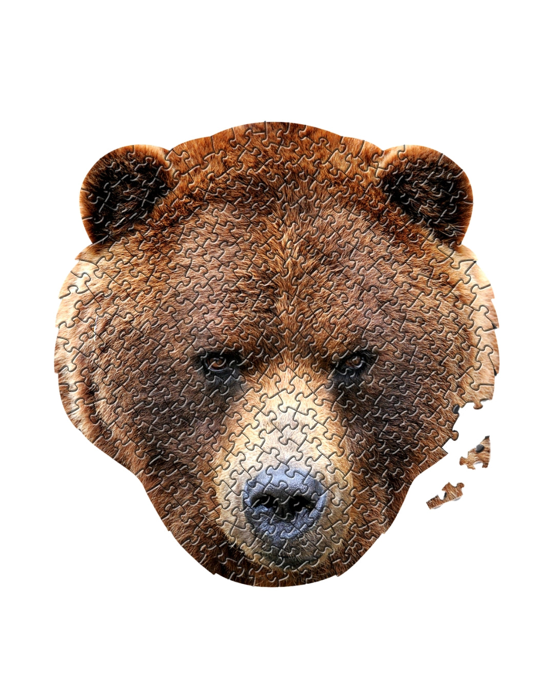 Brown Bear Animal Puzzle 237 Pieces