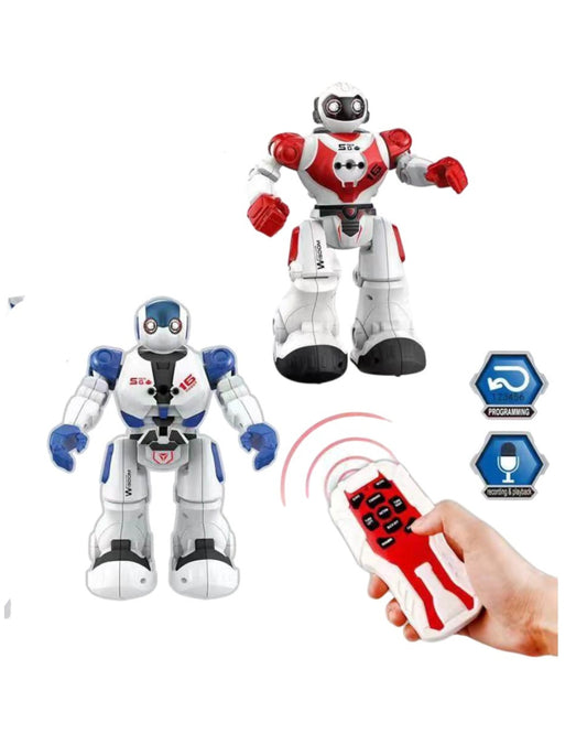 Robot Bots Toy (Assorted)