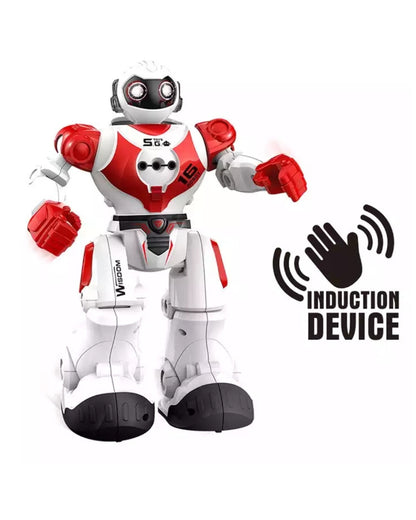 Robot Bots Toy (Assorted)