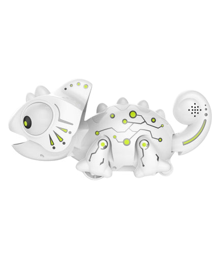 Remote Control Robot