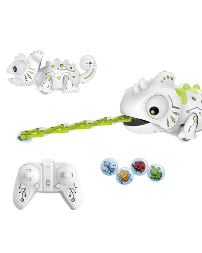 Remote Control Robot