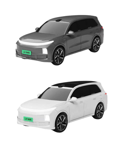 RC Electric Toy Car (Assorted)