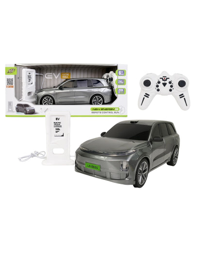 RC Electric Toy Car (Assorted)