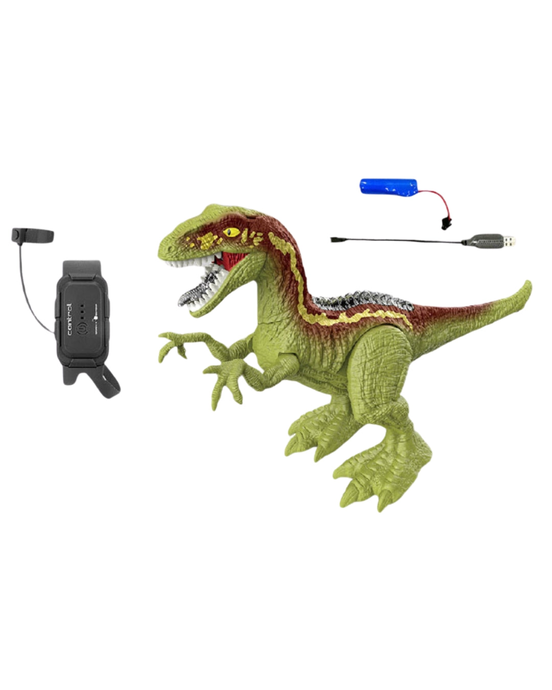 2.4G Remote Control Dinosaur Toy