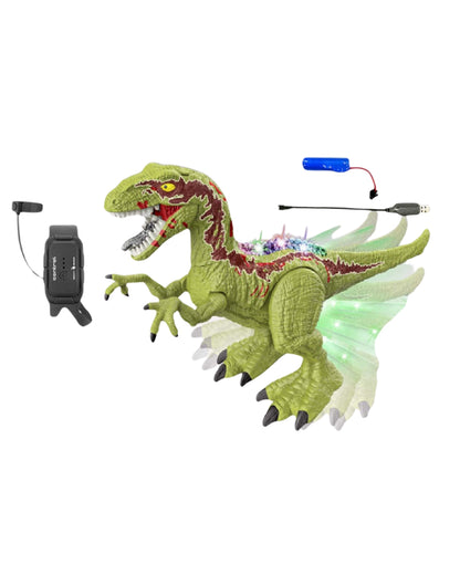 2.4G Remote Control Dinosaur Toy (Assorted)