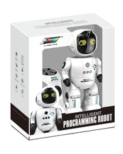 Programming Robot
