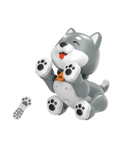 Interactive Remote-Control Pet Toy