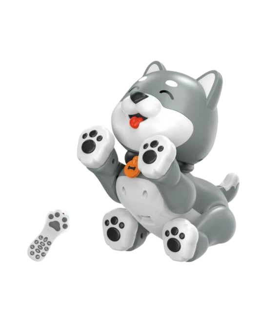 Interactive Remote-Control Pet Toy