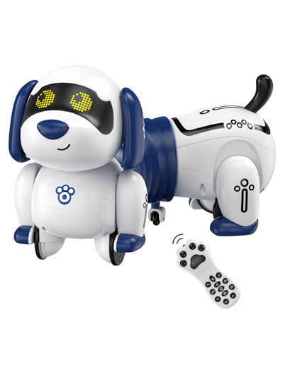 R/C Programming Robot Dog