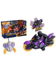 RC Stunt Motorcycle (Assorted)
