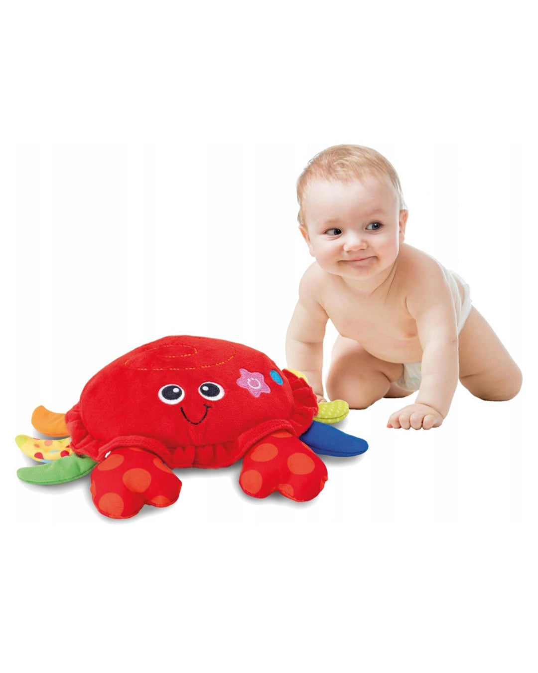 Crawl & Chase Dancing Crab