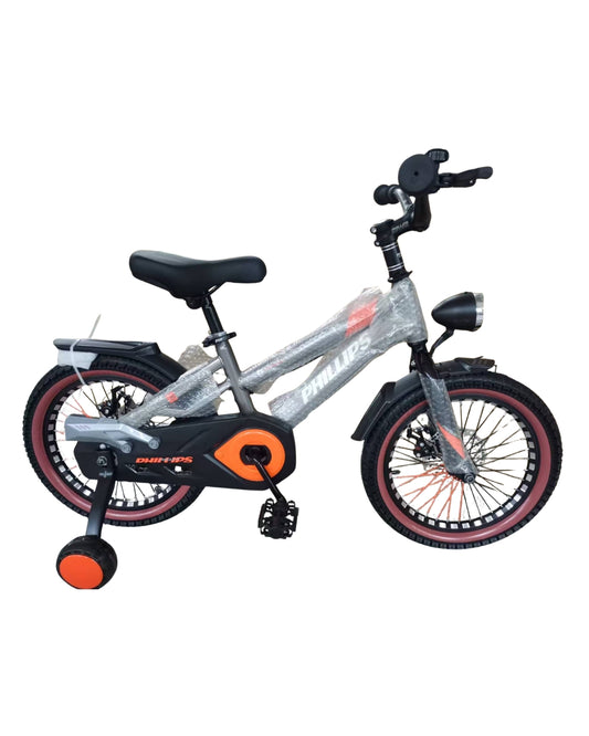 Grey 20-Inch Bicycle