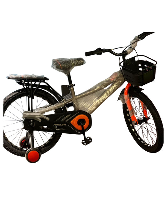 Grey 20-Inch Bicycle