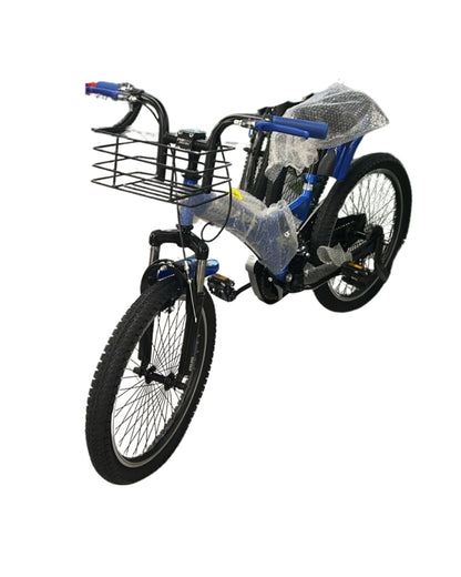 20 Inch Blue Bicycle