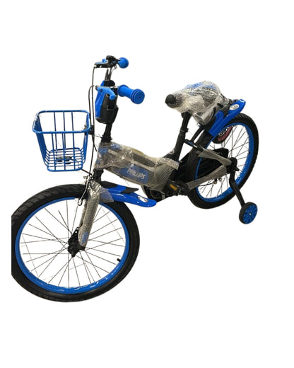 20-Inch Blue Bicycle