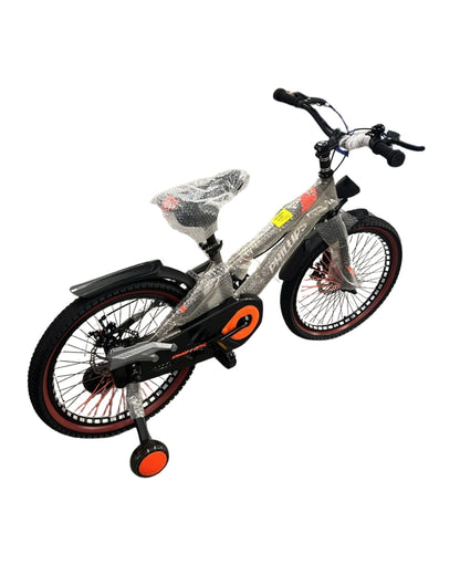 20-Inch Kids Bicycle
