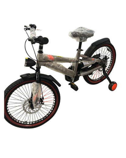 20-Inch Kids Bicycle