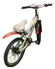 20-Inch Red Bicycle