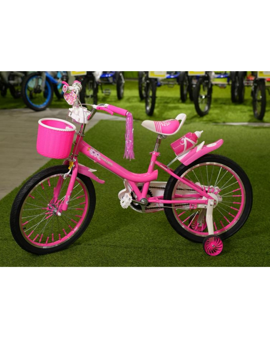 Phillips Bicycle ( 20 Inch)