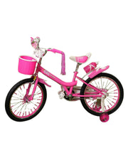 Phillips Bicycle ( 20 Inch)